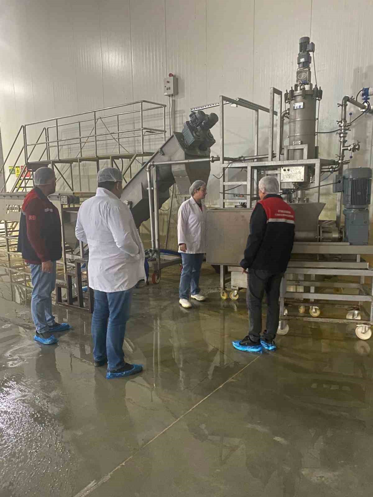 Hayvansal yem üreten işletmeye yönelik denetim