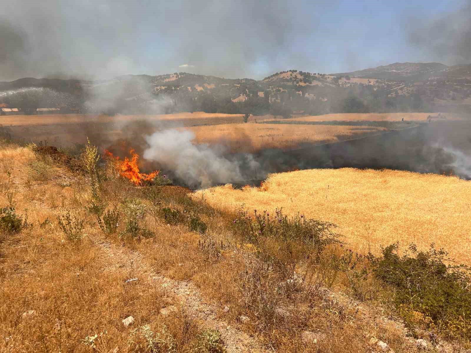 Hisarcıkta biçerdöver kaynaklı yangında 2,5 dekar ekili alan zarar gördü