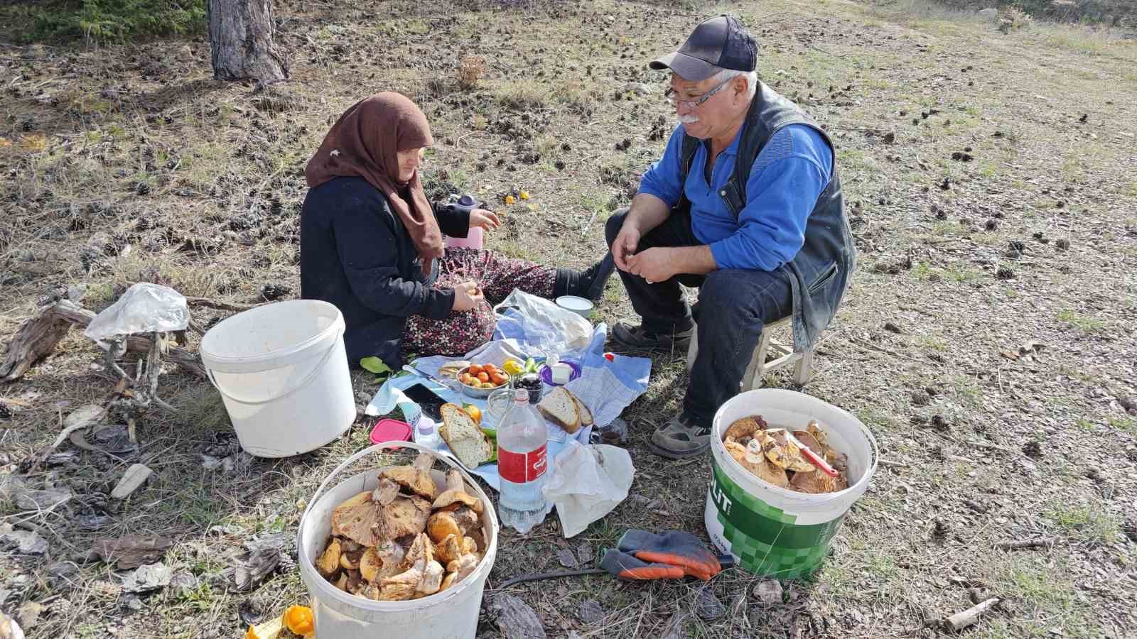 Hisarcıkta yaşlı çiftin mantar mesaisi