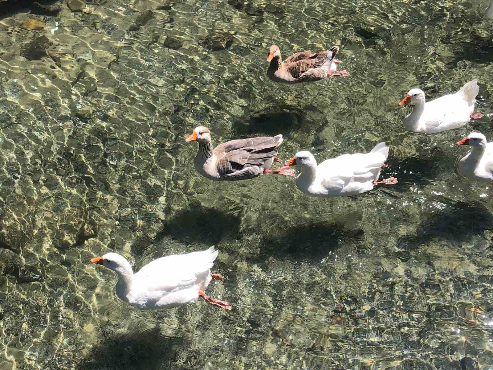 İnönü Havacılık Eğitim Merkezindeki doğal güzellik