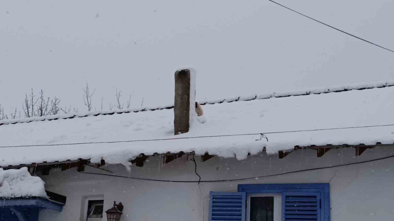 Karla kaplı çatıda mahsur kalan minik köpek kurtarıldı