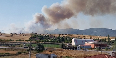 Kütahya'da orman yangını