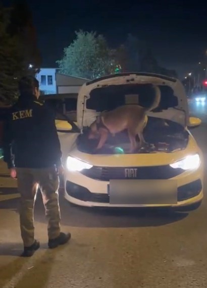 Kütahya'da 3,5 kilo kokain ele geçirildi, şüpheli 2 kişi tutuklandı