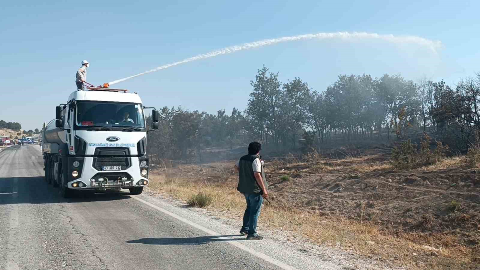 Kütahya'da çıkan orman yangını kontrol altına alındı