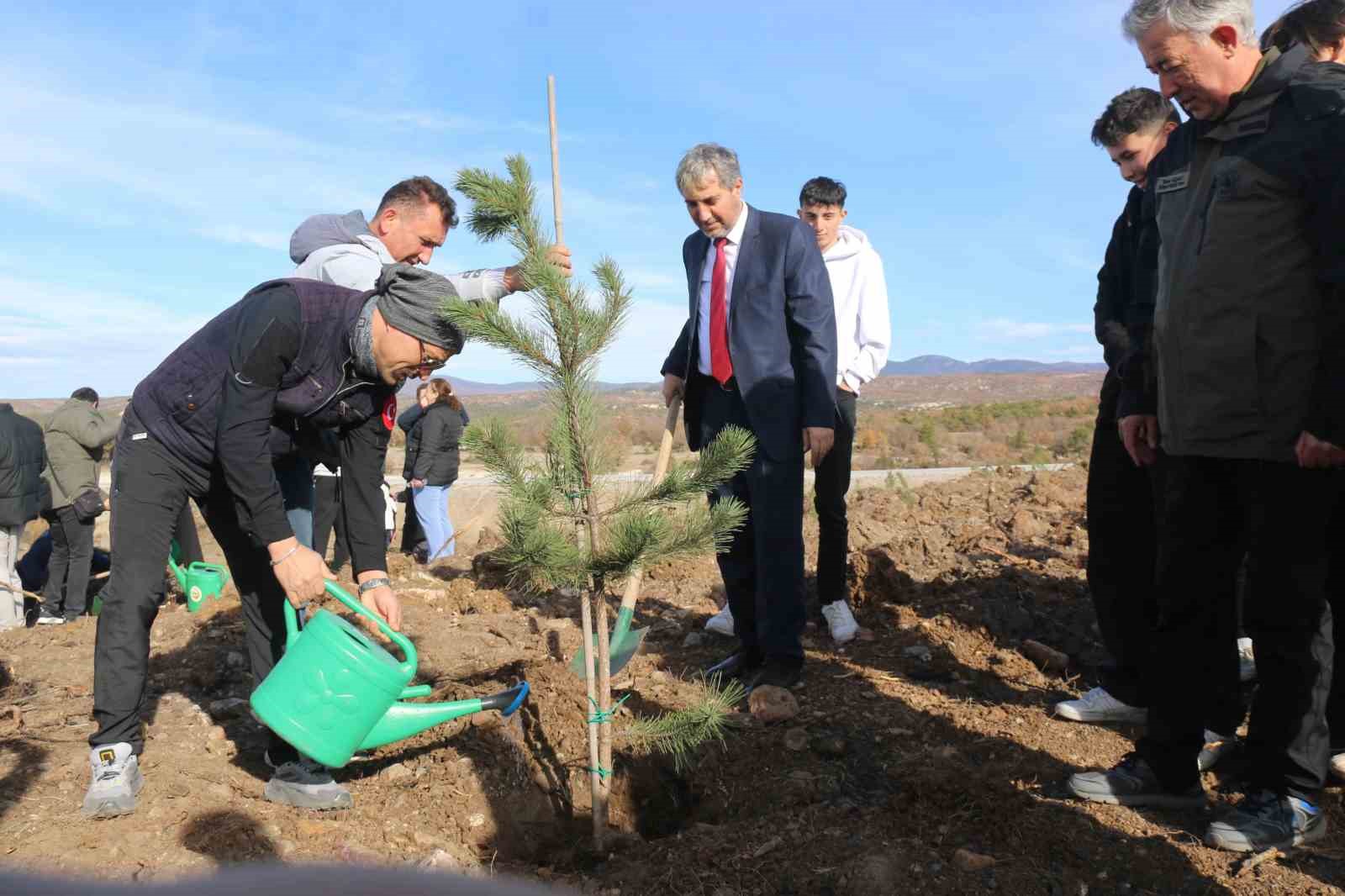 Kütahyada fidan dikimi etkinliği gerçekleştirildi