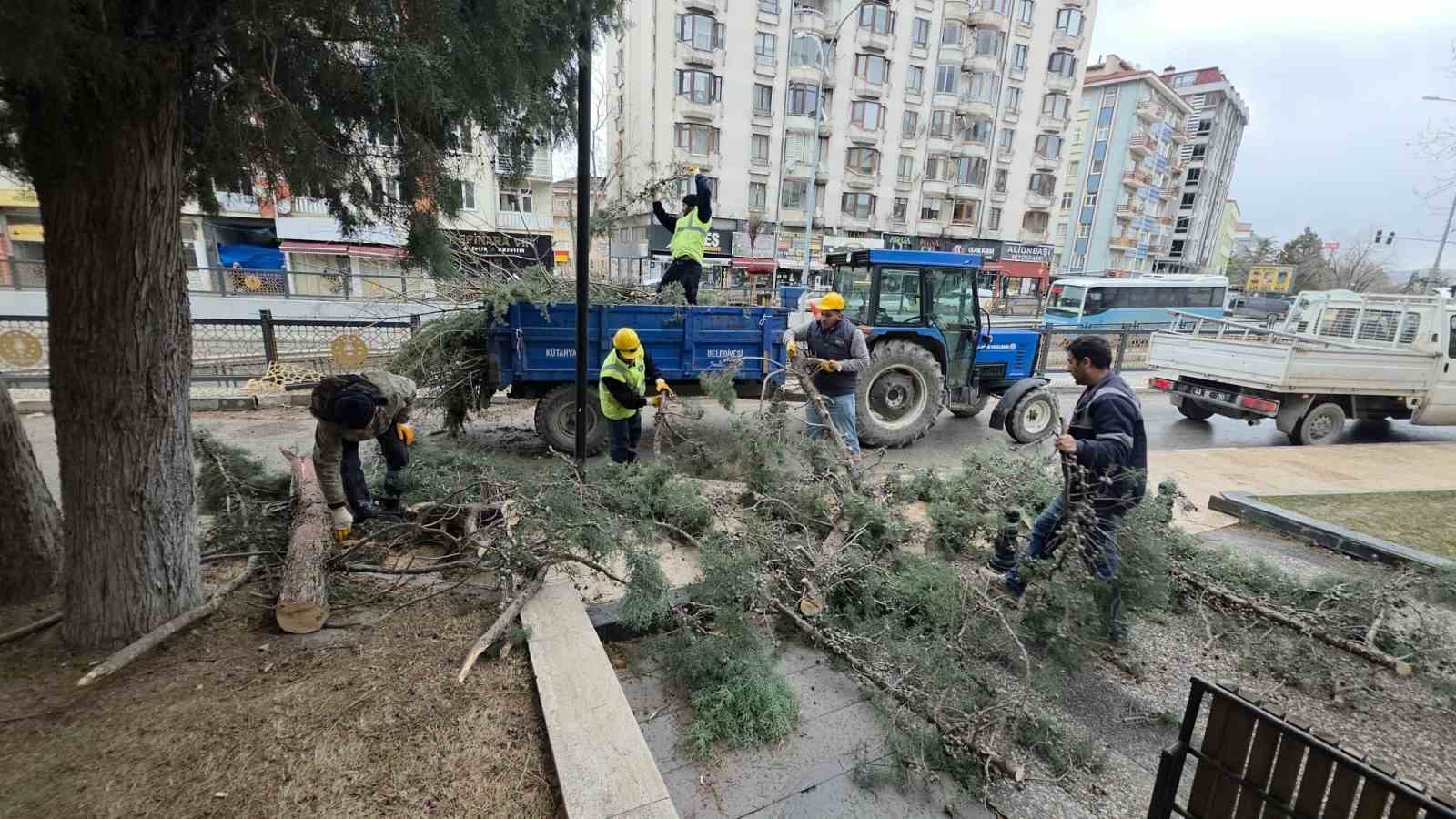 Kütahyada fırtına ve aşırı rüzgâr ağaçları devirdi