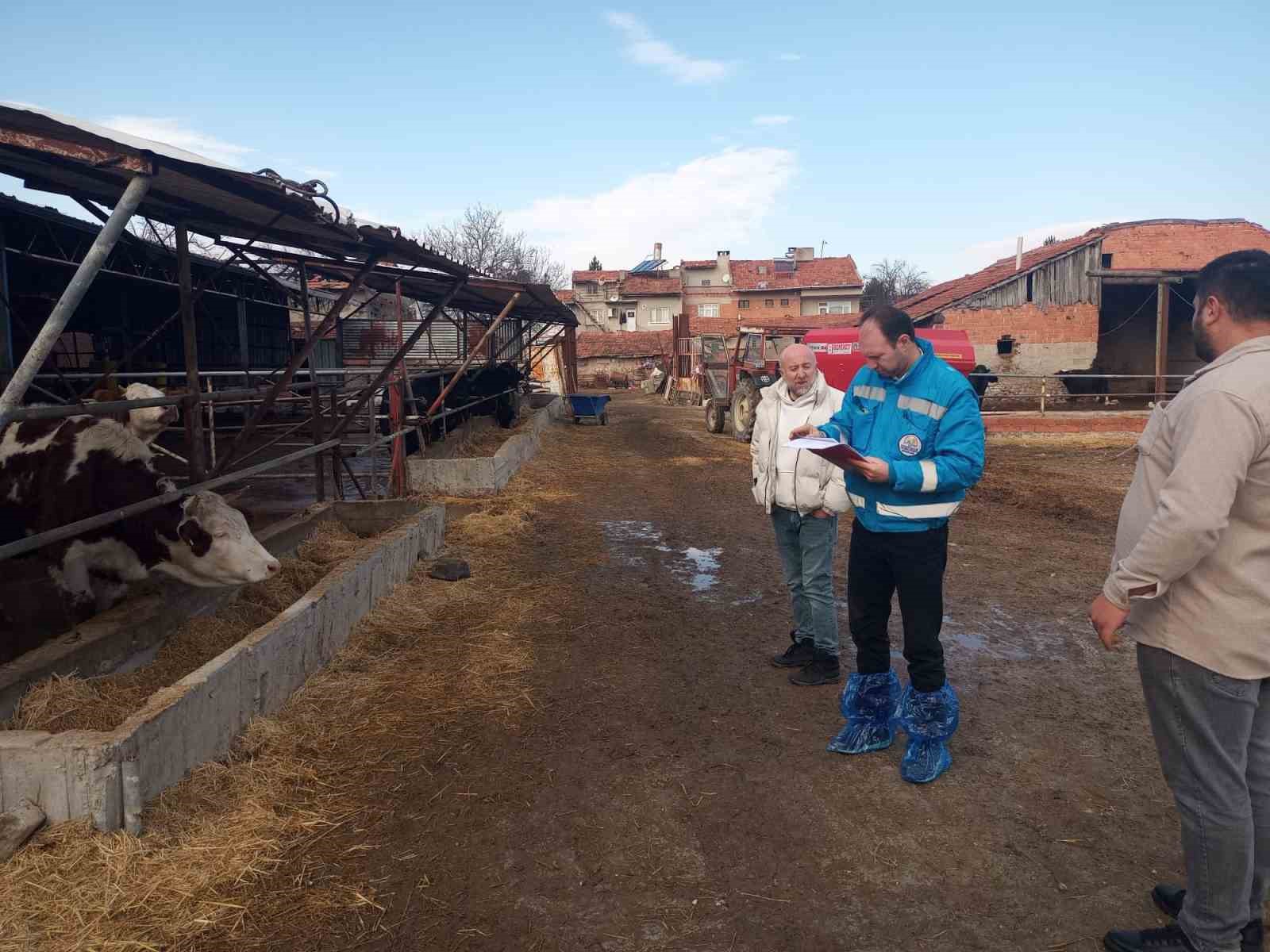 Kütahyada hayvancılık işletmelerine yönelik kapasite tespiti sürüyor