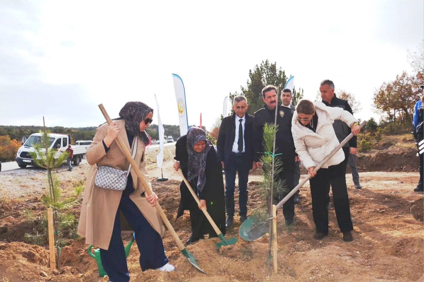 Kütahyada şehitler için 350 fidan toprakla buluştu