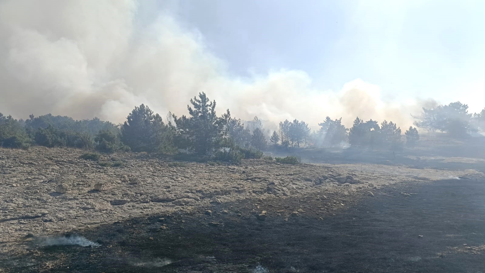 Kütahyanın Sofça köyü yakınlarındaki orman yangını korkuttu