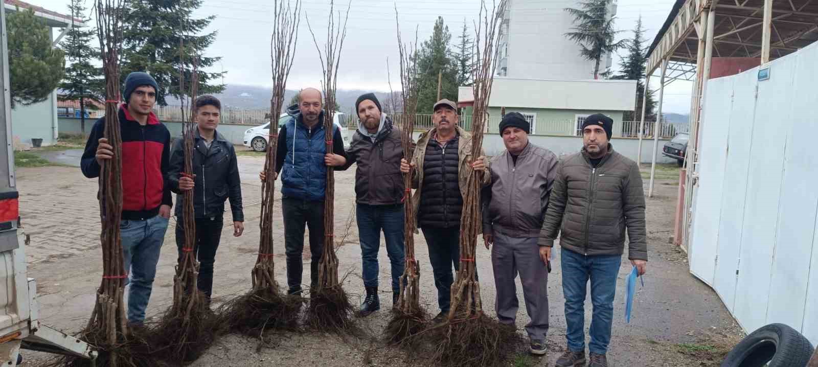 Meyveciliği Geliştirme projesi Pazaryerinde hayata geçti