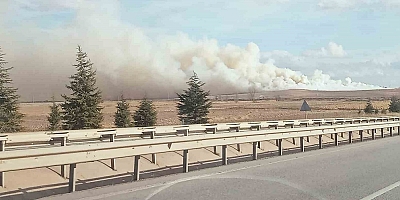 Mısır tarlasında korkutan yangın