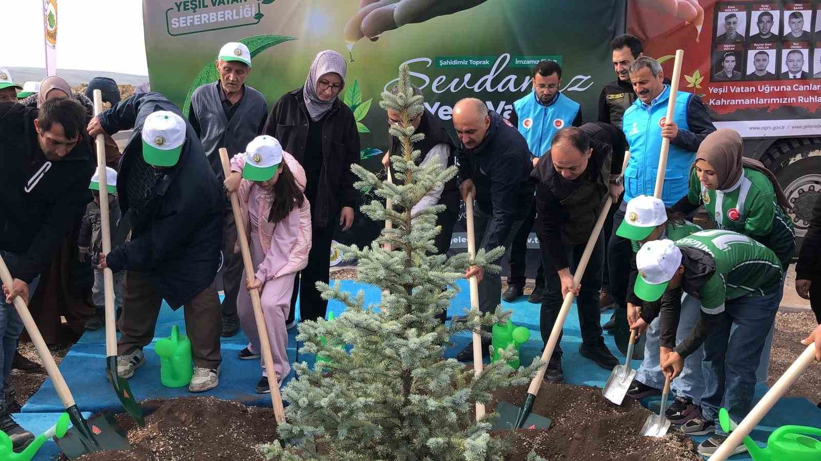 Orman şehidi Eyüp Dereli adına oluşturulan alana 15 bin fidan dikildi