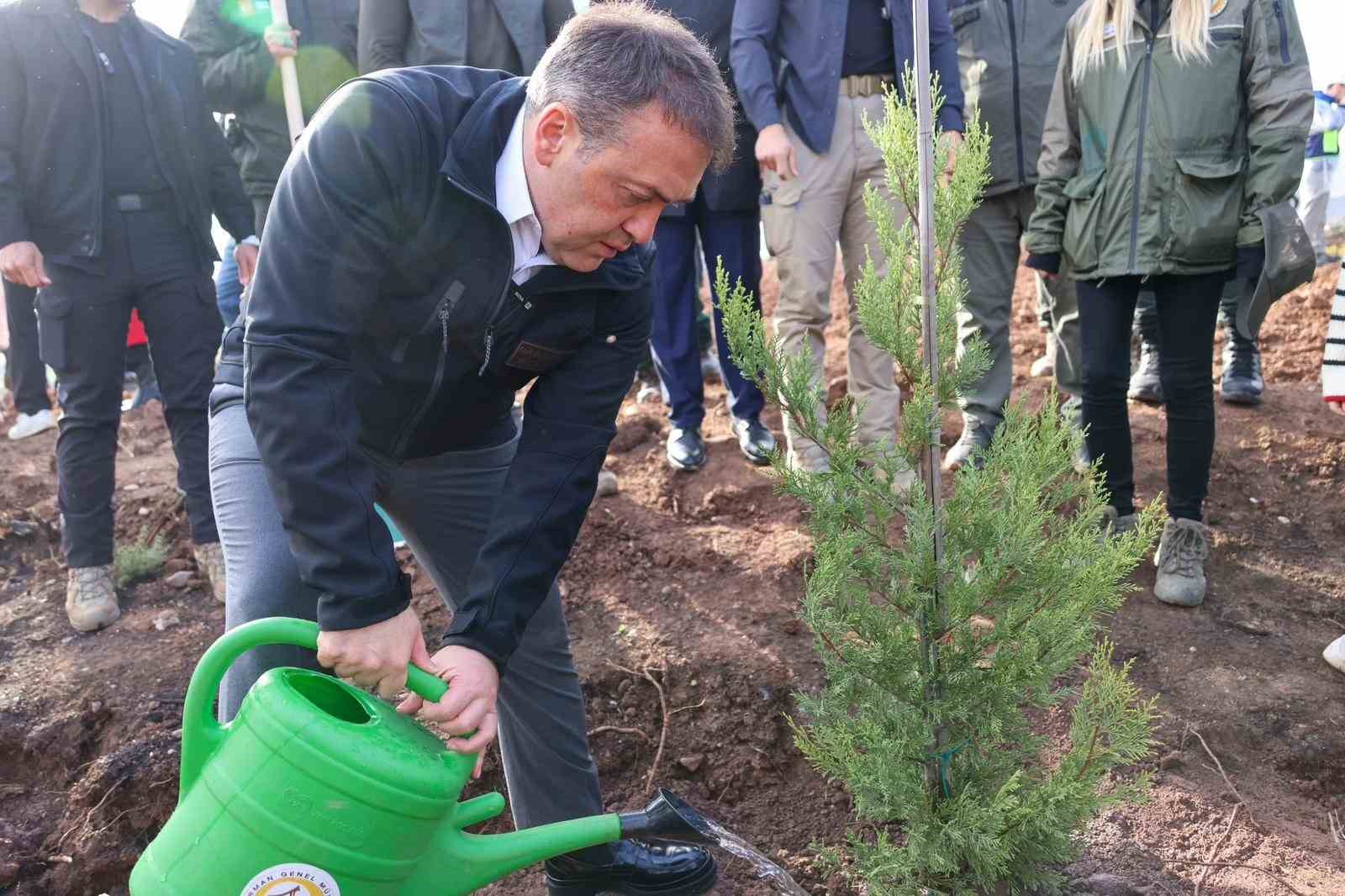 Orman yangınlarından etkilenen bölgede 5 bin fidanı toprakla buluşturuldu
