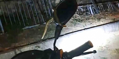 Park halindeki motosiklette yılan paniği