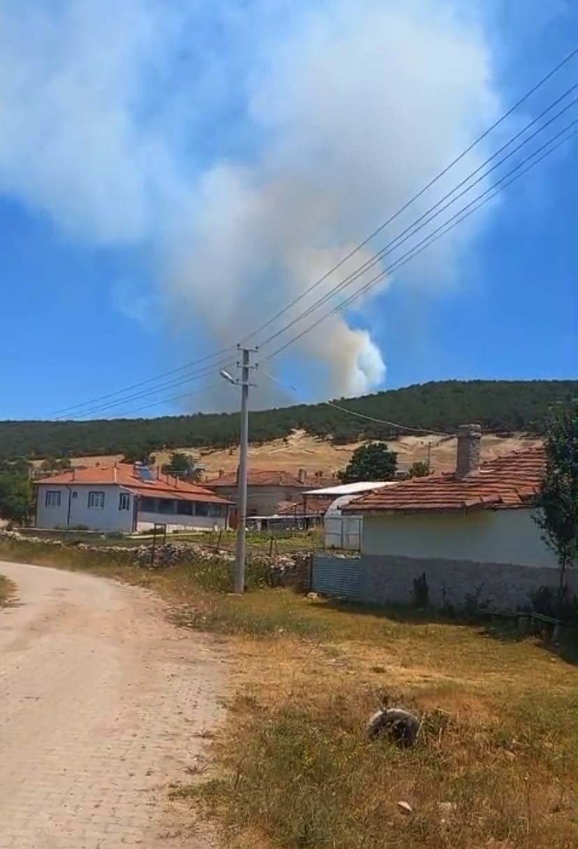 Seyitgazide orman yangını