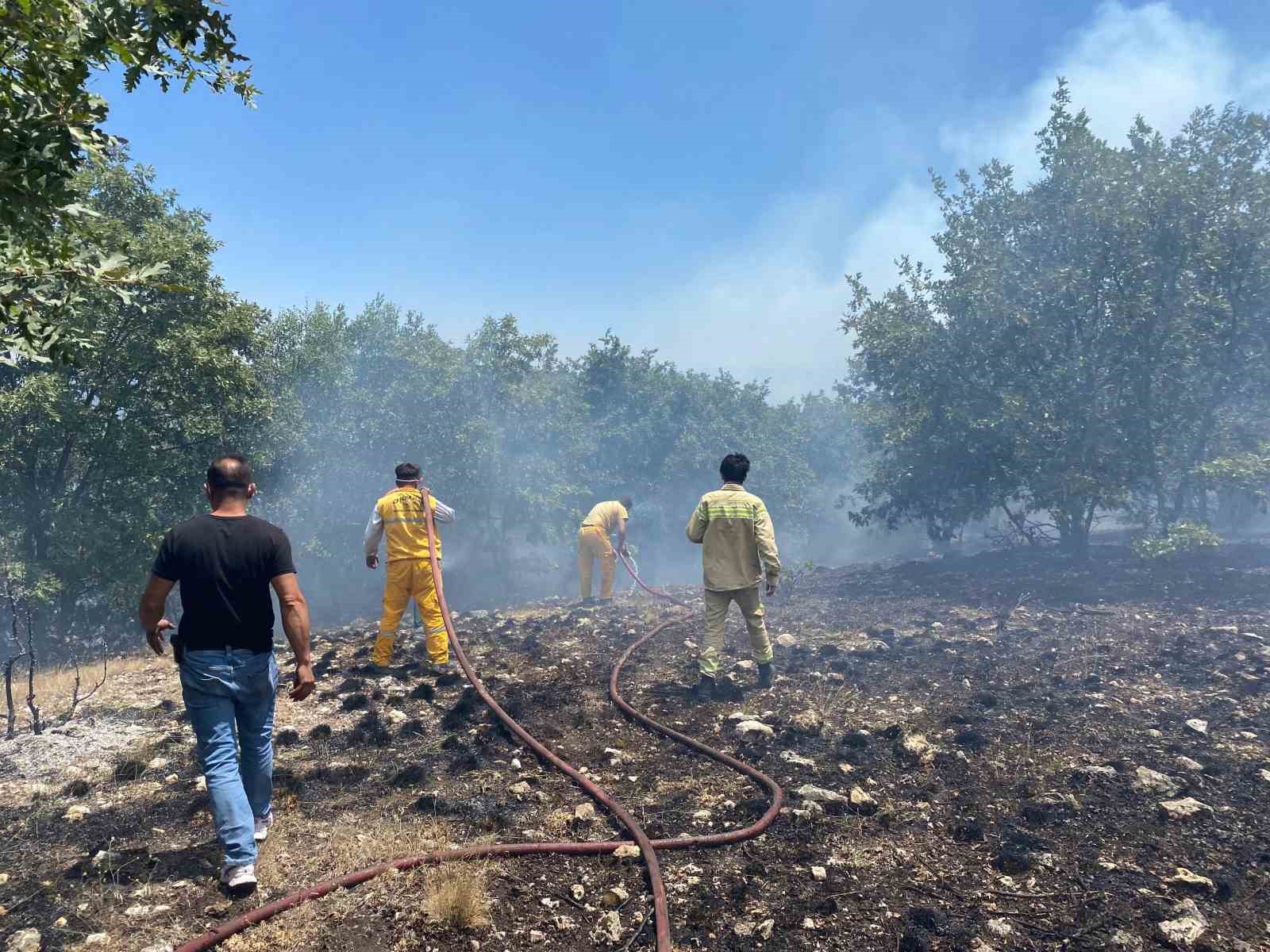 Seyitgazide orman yangınına ekiplerin müdahalesi başladı