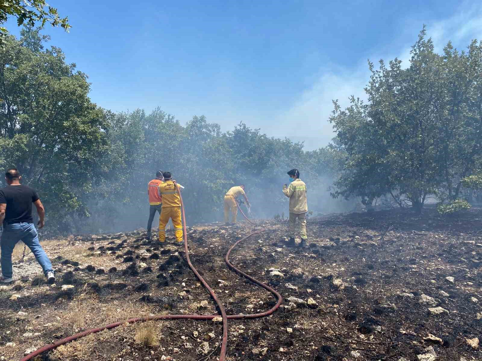 Seyitgazi'deki orman yangını kontrol altına alındı
