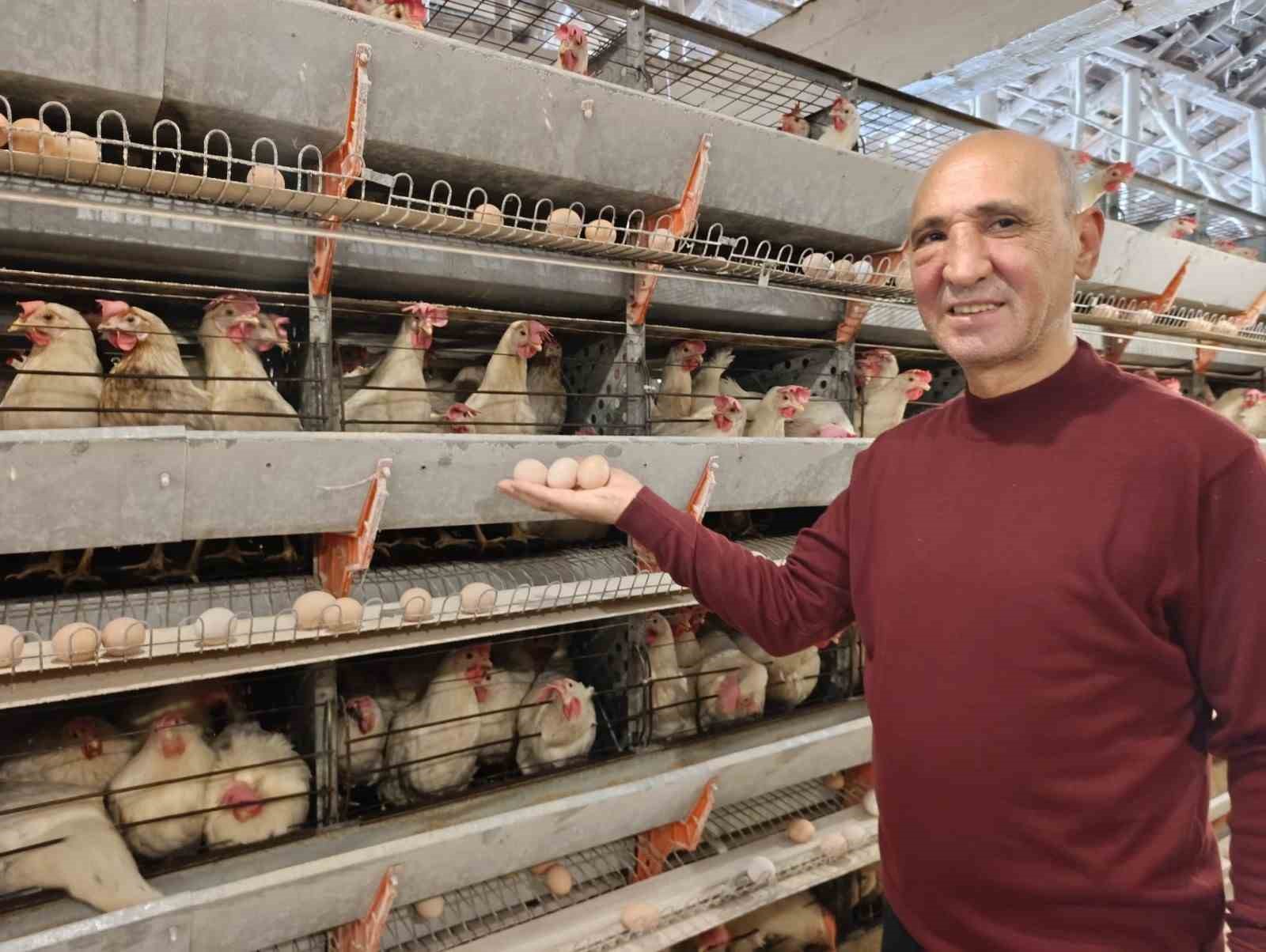 Simavın Kuşu beldesinde günlük 15 bin yumurta üretimi