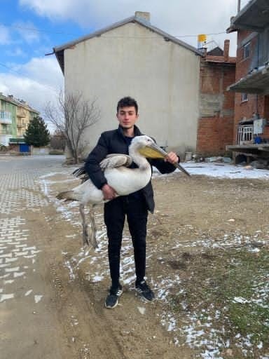 Sokakta gezerken pelikan buldu