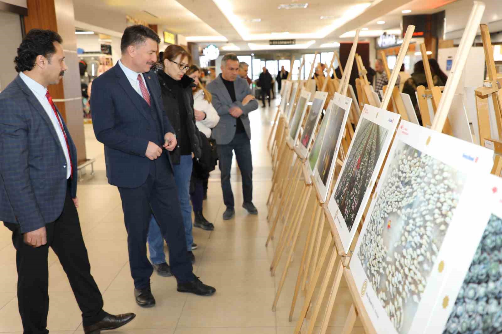Tarım, Orman ve İnsan Fotoğraf Sergisi Eskişehir'de