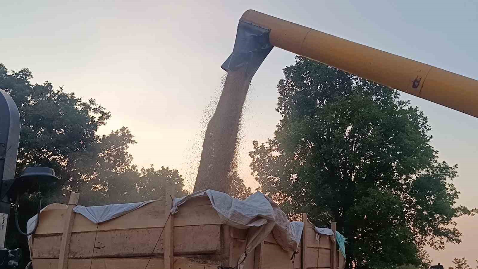 Tarım şehri Bilecik'te arpa ve buğday bereketi