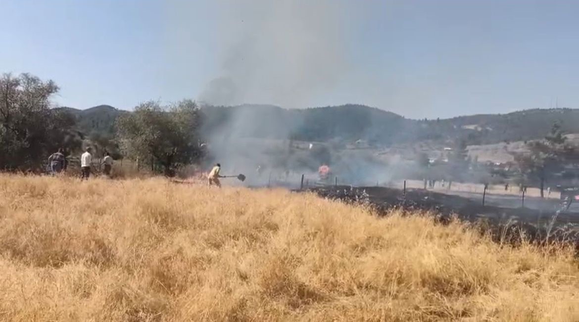 Tavşanlı Balıköyde çıkan yangın büyümeden söndürüldü