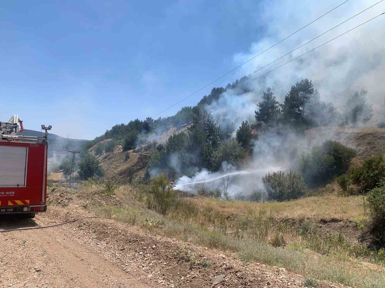 Tavşanlı'da orman yangını erken müdahaleyle söndürüldü