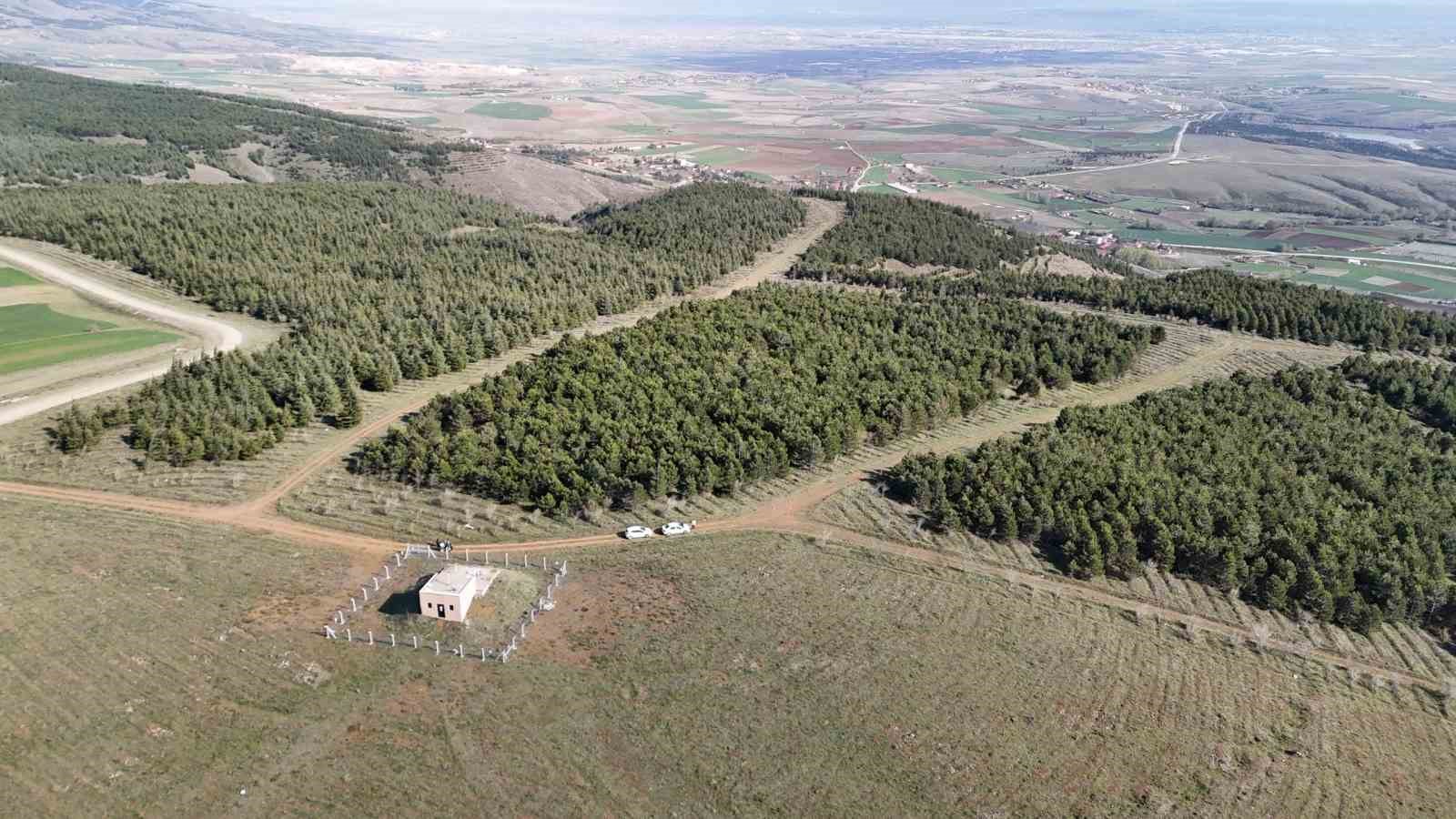 Vahşi cinayet zanlısı önce boğmuş sonra 2 gün art arda yakmış