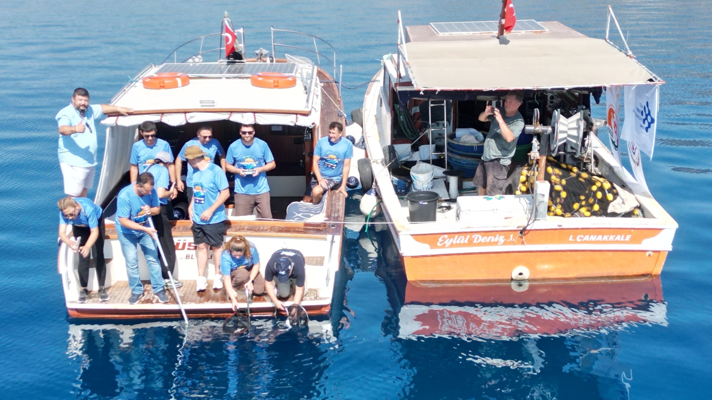 balık3-i6a91605c192db.jpg