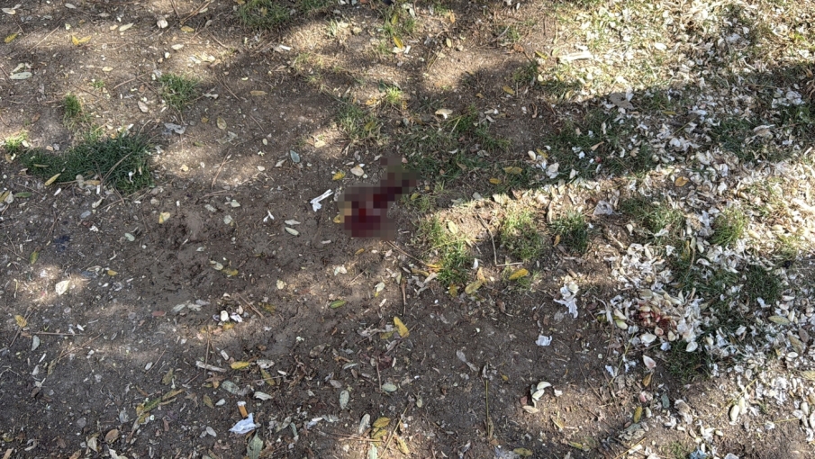 Kumlubel Parkı’ndaki döner bıçaklı saldırının şüphelisi yakalandı