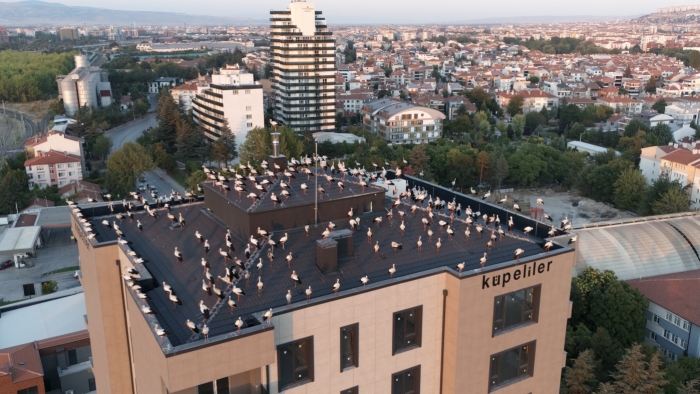 Göç yolculuğuna Eskişehir’de mola verdiler