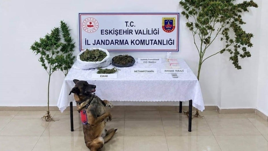 Eskişehir'de uyuşturucu operasyonu: 1 şüpheli tutuklandı